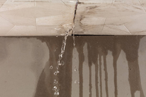 Professional Flood Damage Cleanup technician working in Roscoe, TX